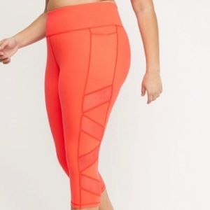 Livi Active Plus Size Capris